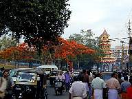 the evening before pooram