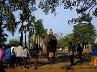 Thrissur Pooram