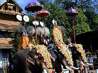 Thrissur Pooram