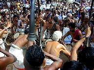 Thrissur Pooram