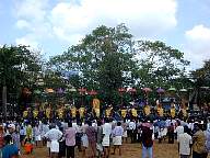 Thrissur Pooram