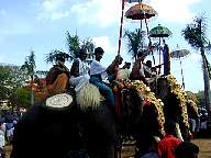 Thrissur Pooram