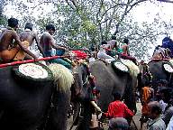 Thrissur Pooram