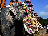 Thrissur Pooram