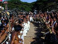 Thrissur Pooram