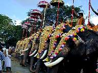 Thrissur Pooram