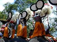 Thrissur Pooram