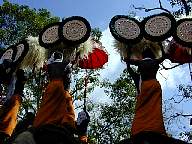 Thrissur Pooram