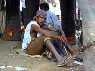 Thrissur Pooram