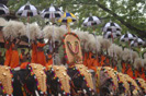 Thrissur Pooram