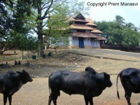 Vadakumnathan Temple South Gate